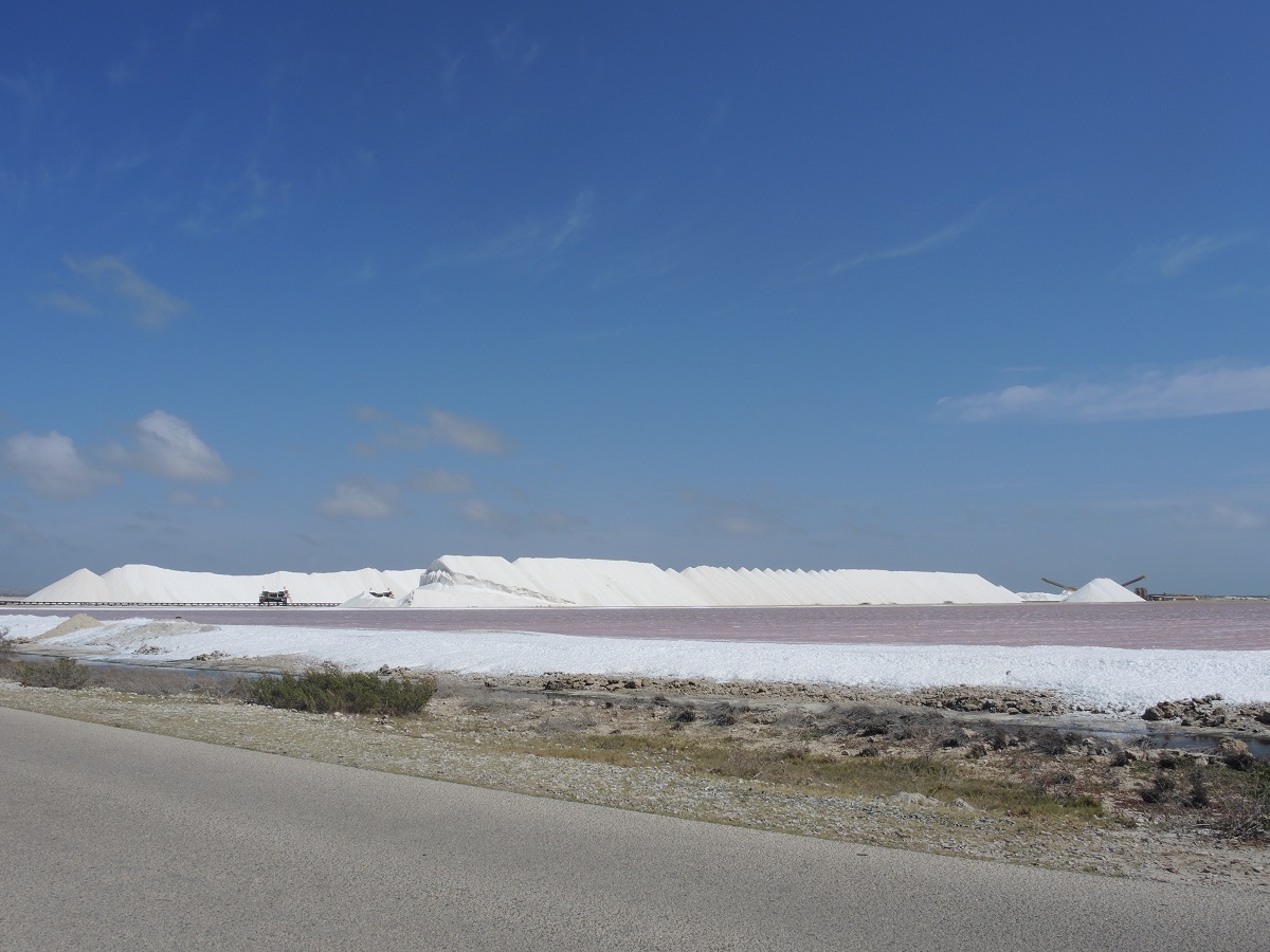 DSCN0173.JPG