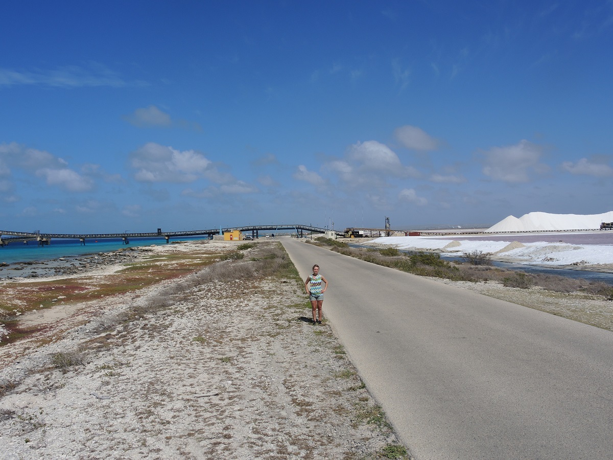 DSCN0180.JPG