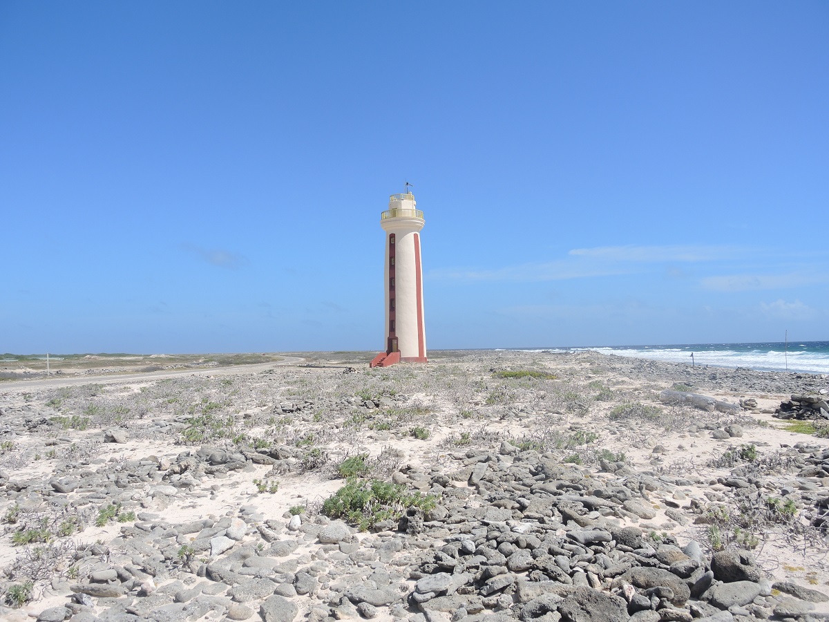 DSCN0316.JPG
