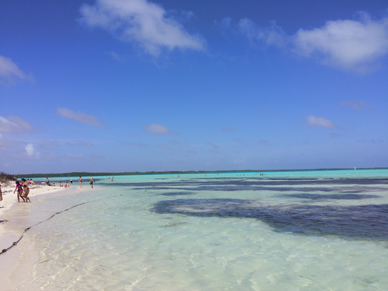 20151117_121613.jpg