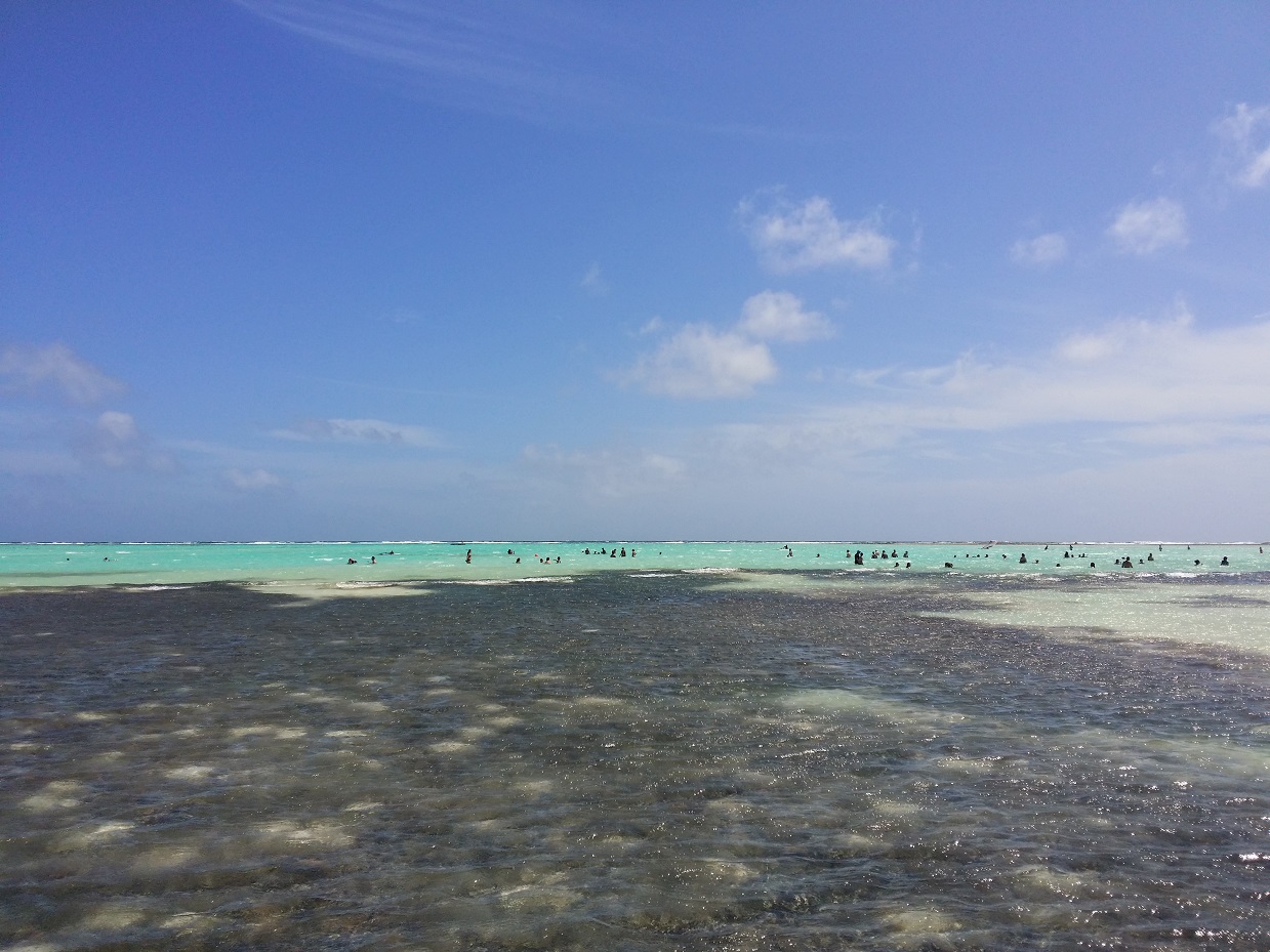 20151117_121618.jpg