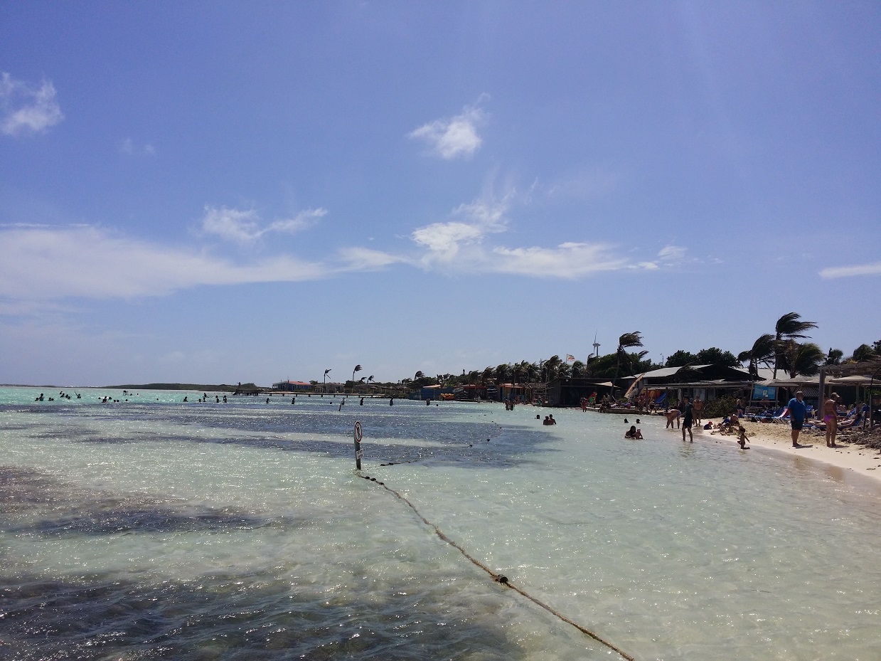 20151117_121621.jpg
