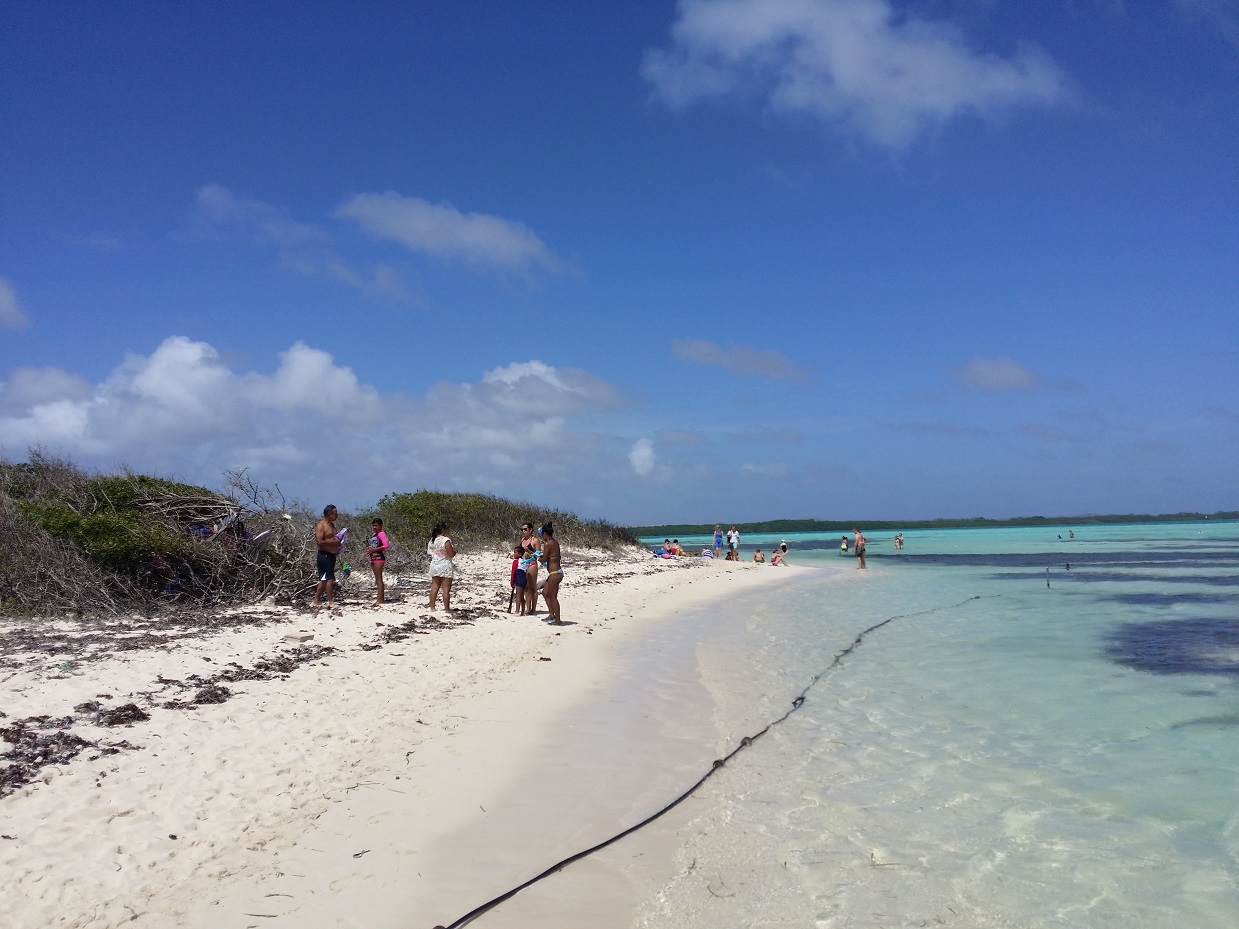 20151117_121628.jpg