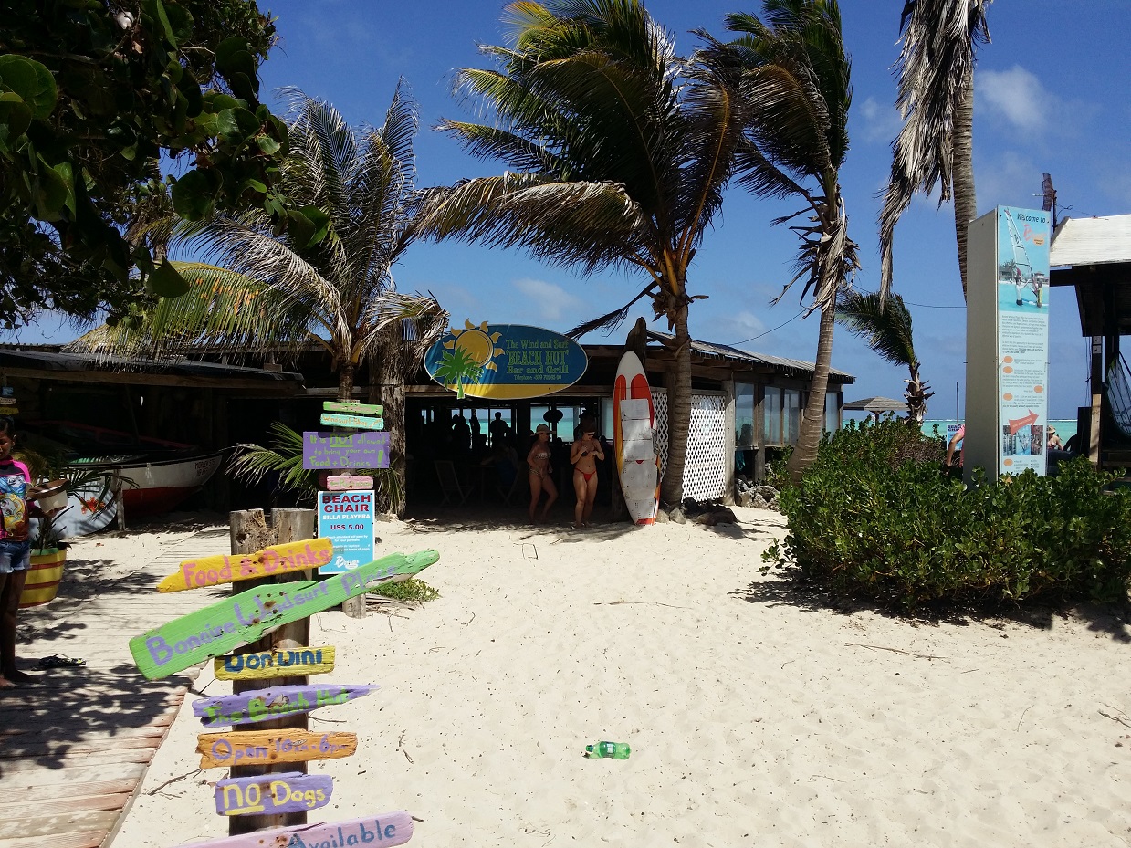 20151117_123103.jpg