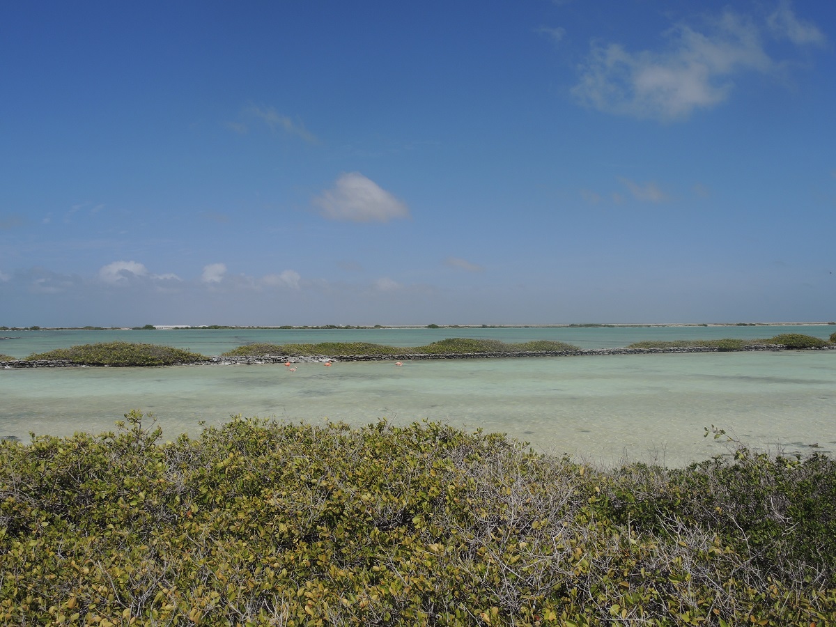 DSCN0291.JPG