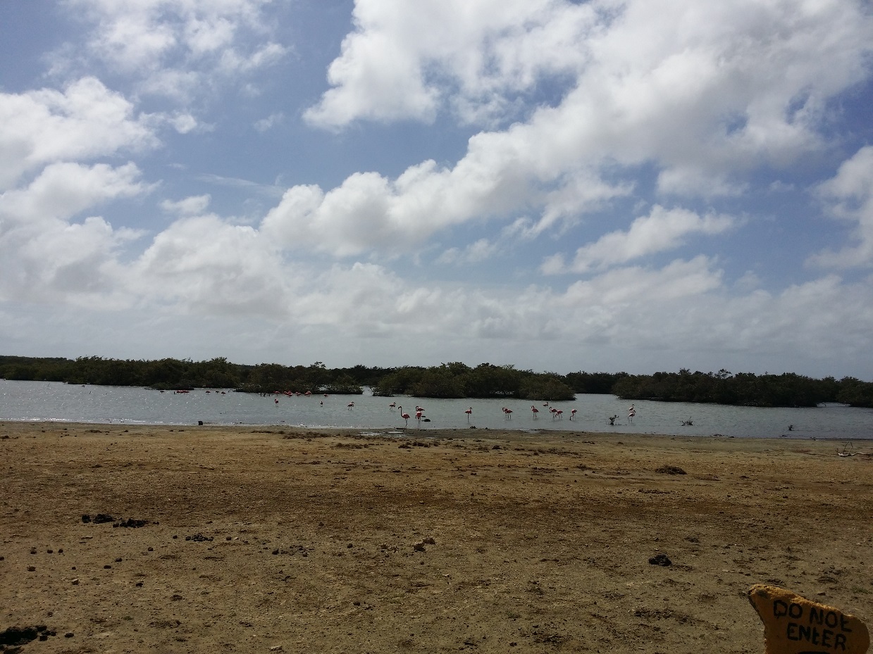 20151117_131451.jpg