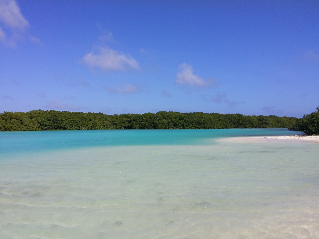 20151117_135216.jpg