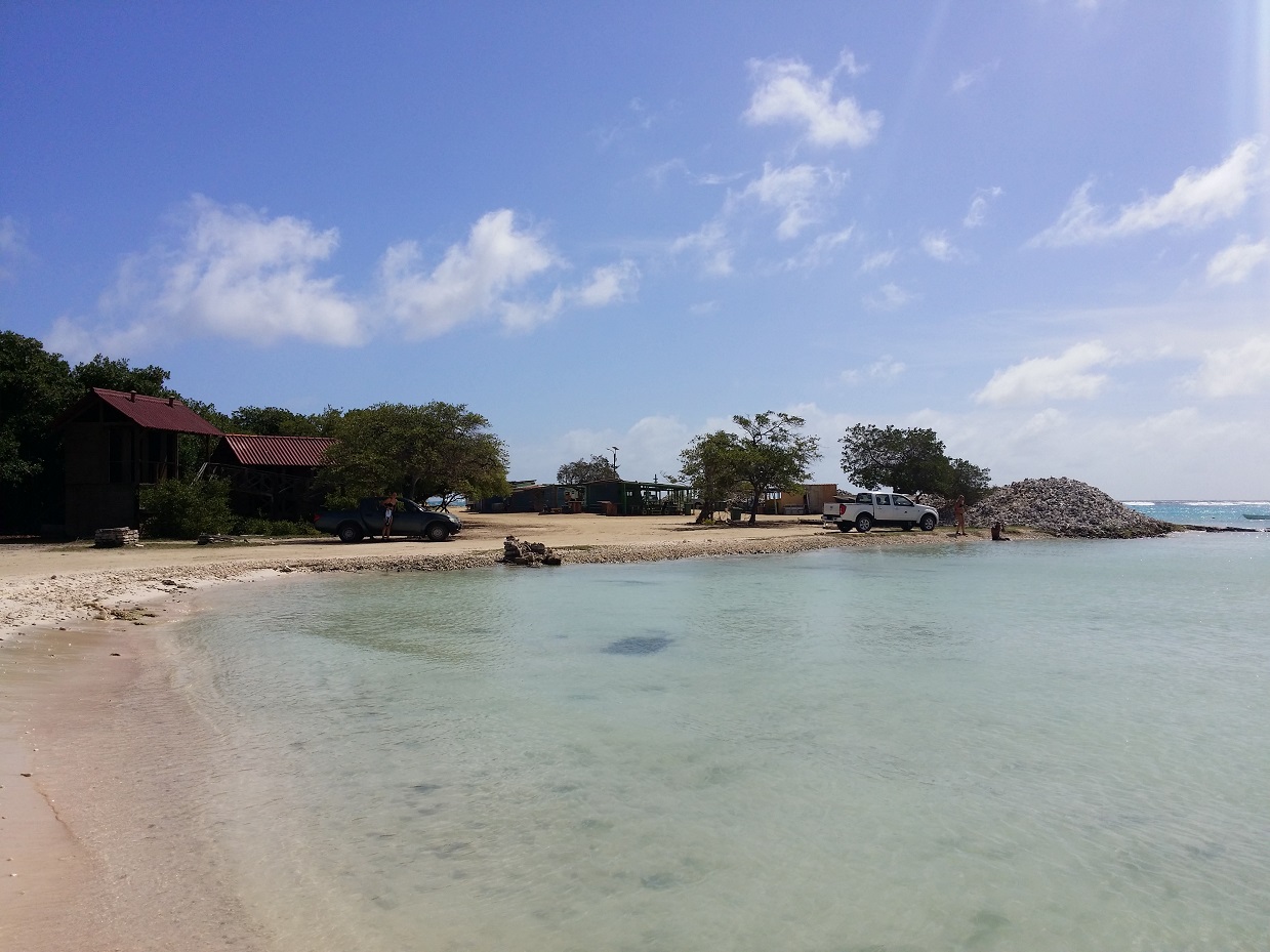 20151117_133212.jpg