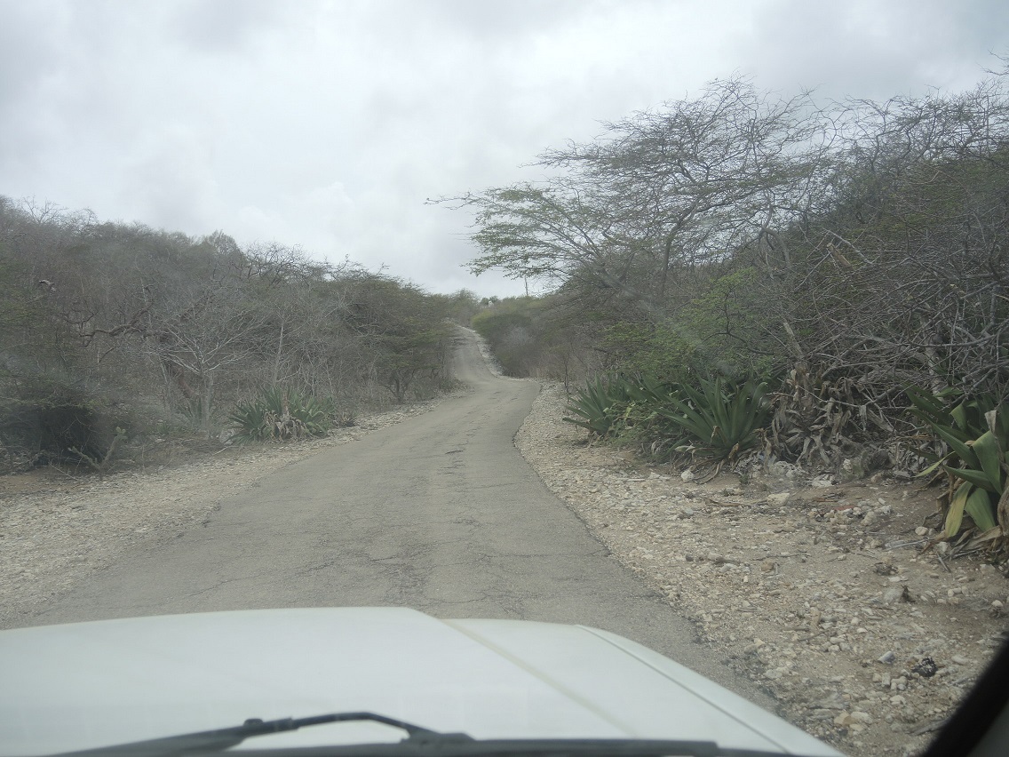 DSCN0386.JPG