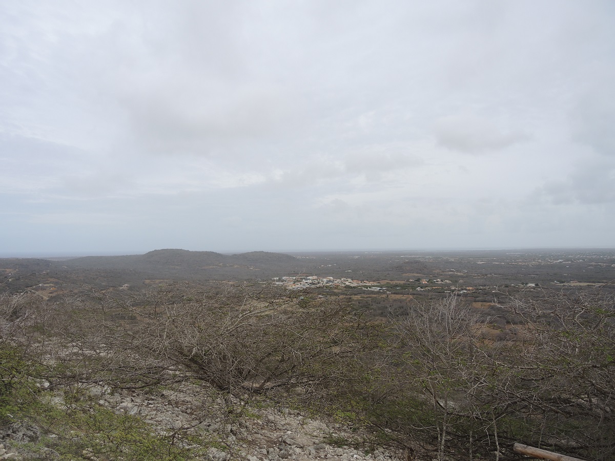 DSCN0390.JPG