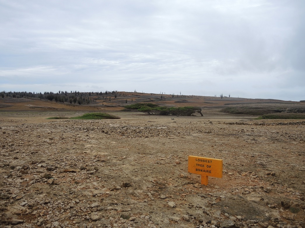 DSCN0700.JPG