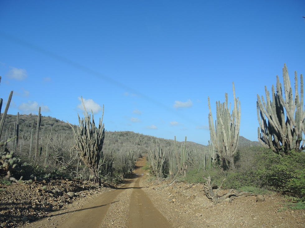 DSCN0812.JPG