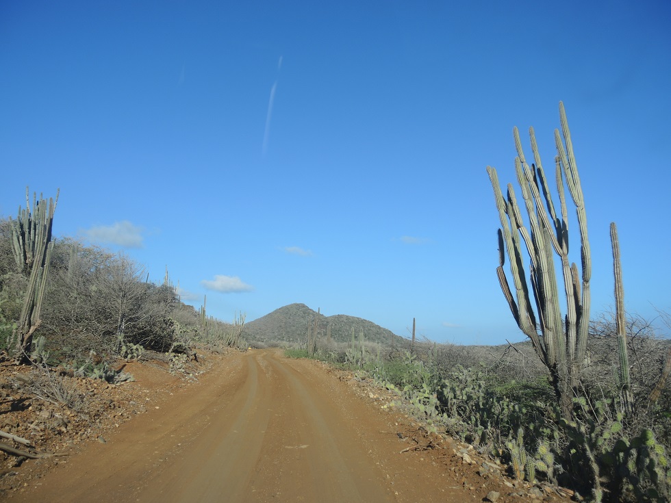 DSCN0819.JPG