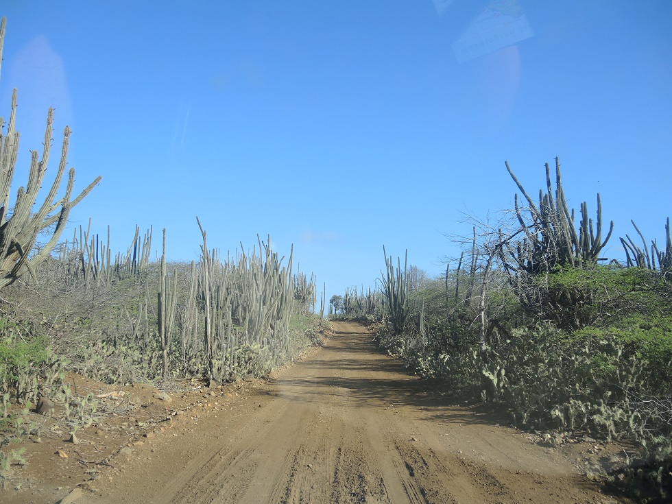 DSCN0838.JPG