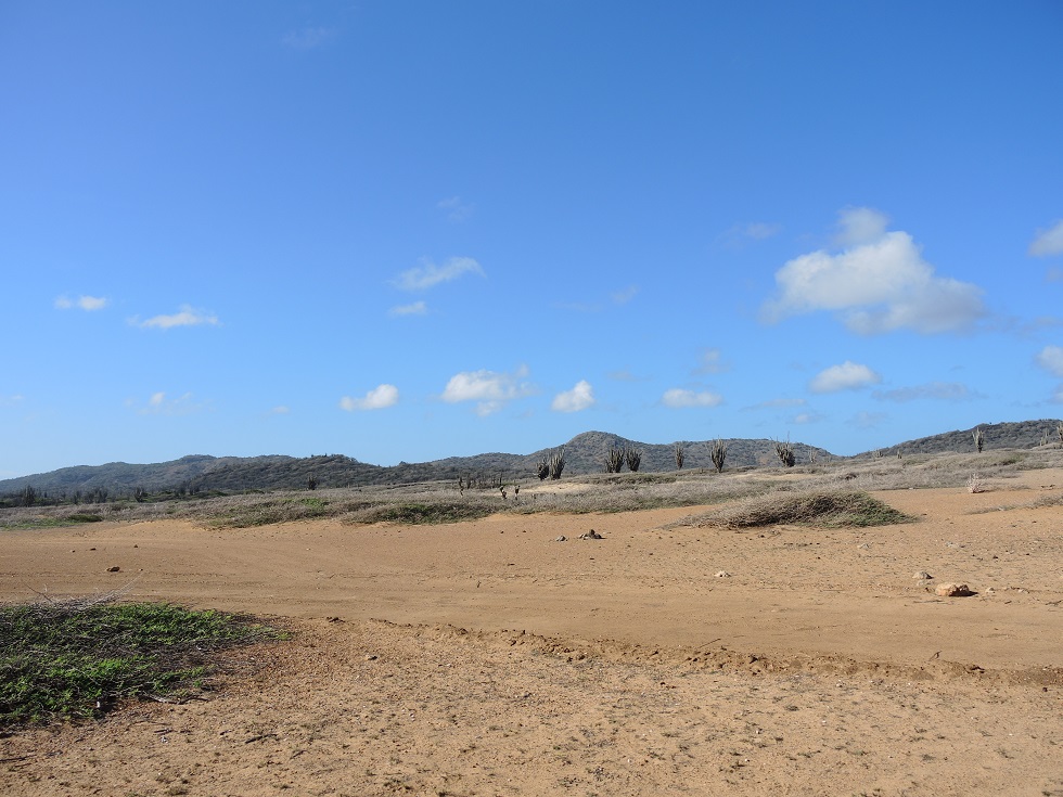 DSCN0865.JPG