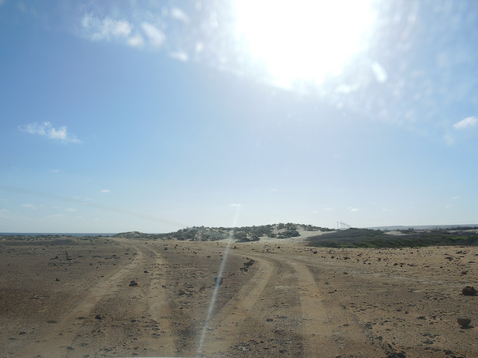 DSCN0869.JPG