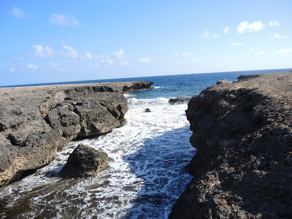 DSCN0901.JPG