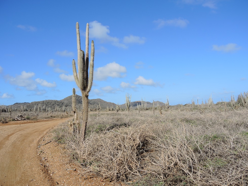DSCN0907.JPG