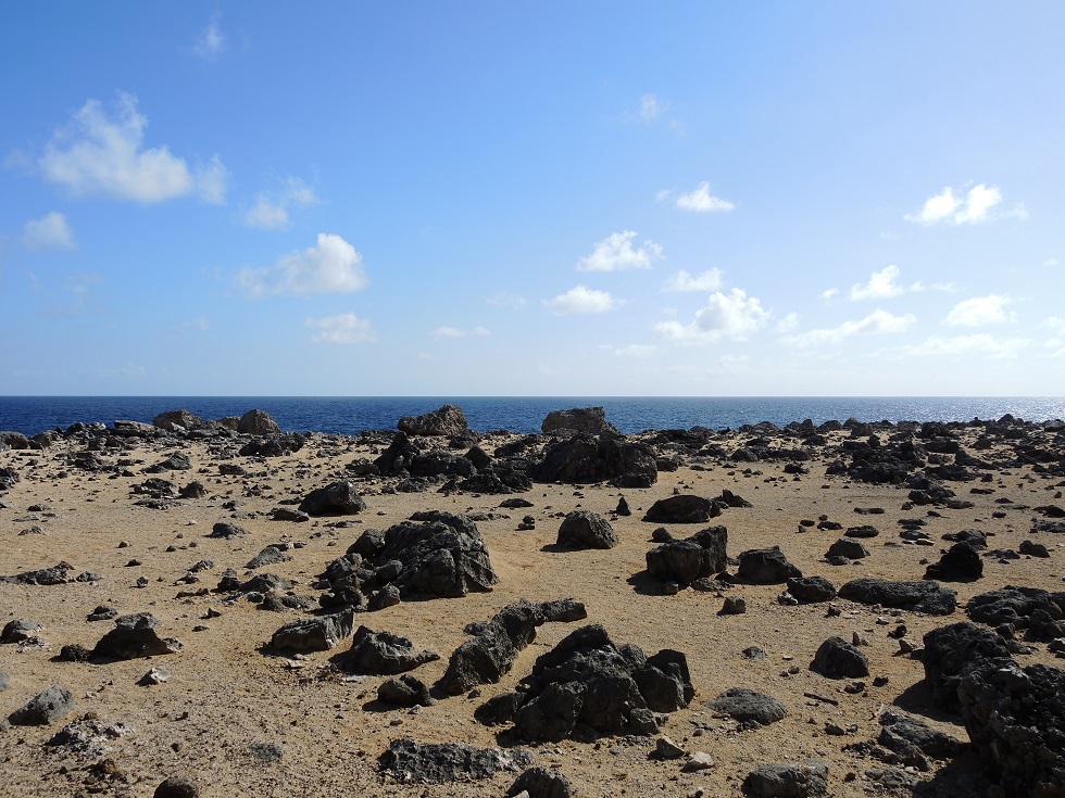 DSCN0930.JPG