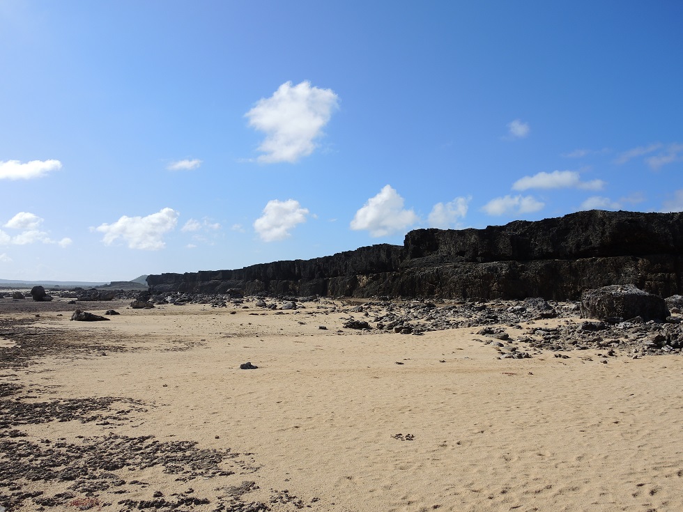 DSCN0939.JPG