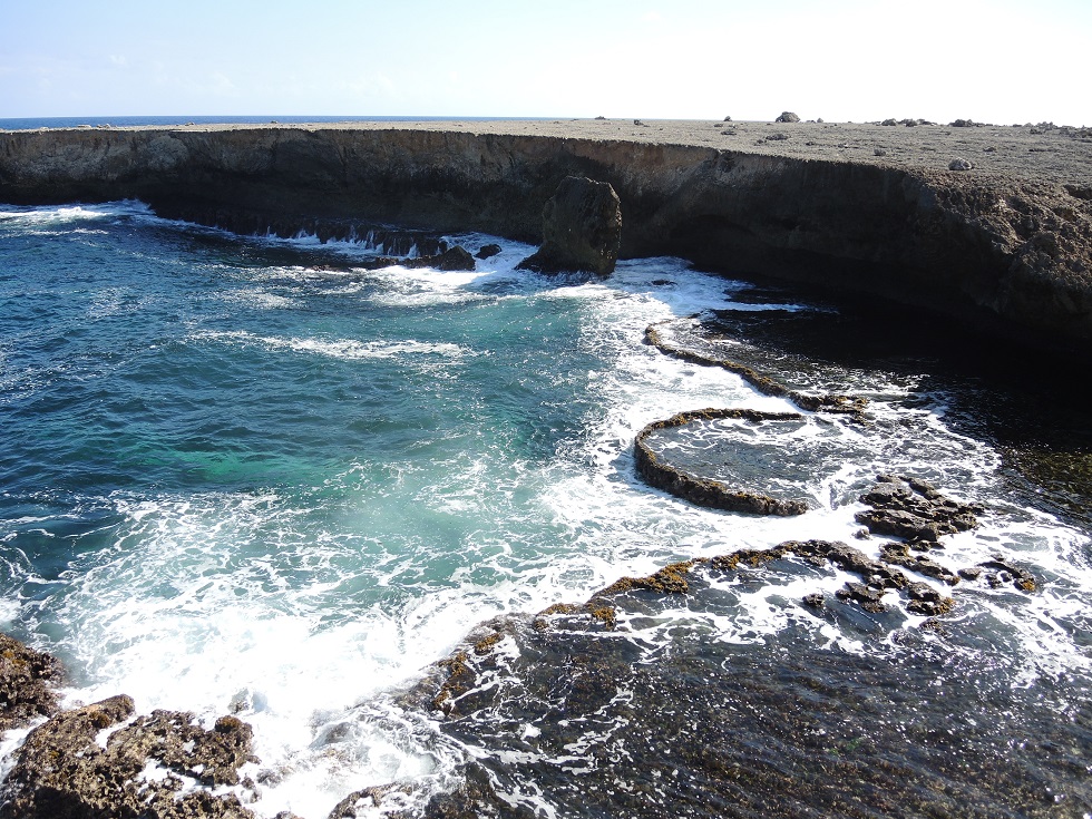 DSCN0960.JPG