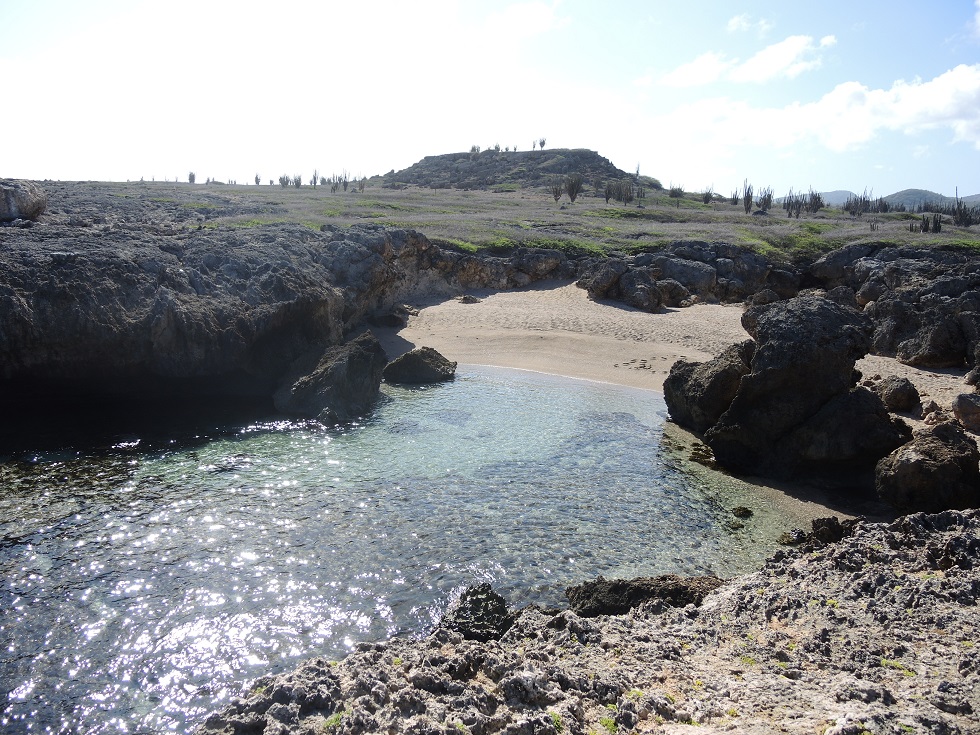 DSCN0961.JPG