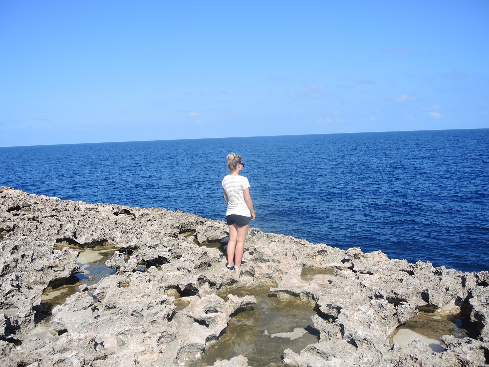 DSCN0971.JPG
