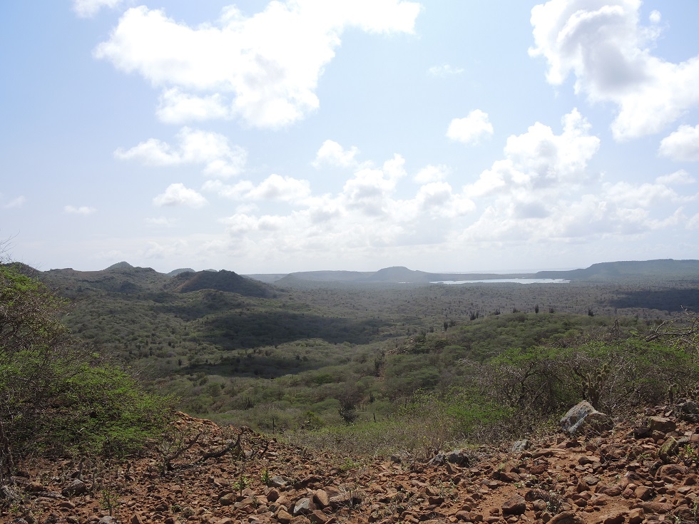 DSCN0994.JPG