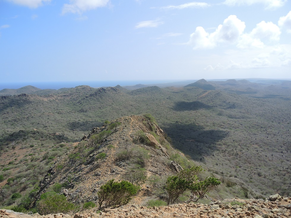DSCN1001.JPG