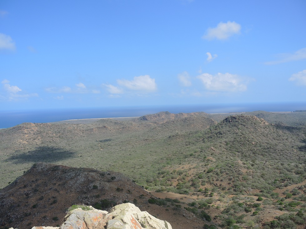 DSCN1004.JPG