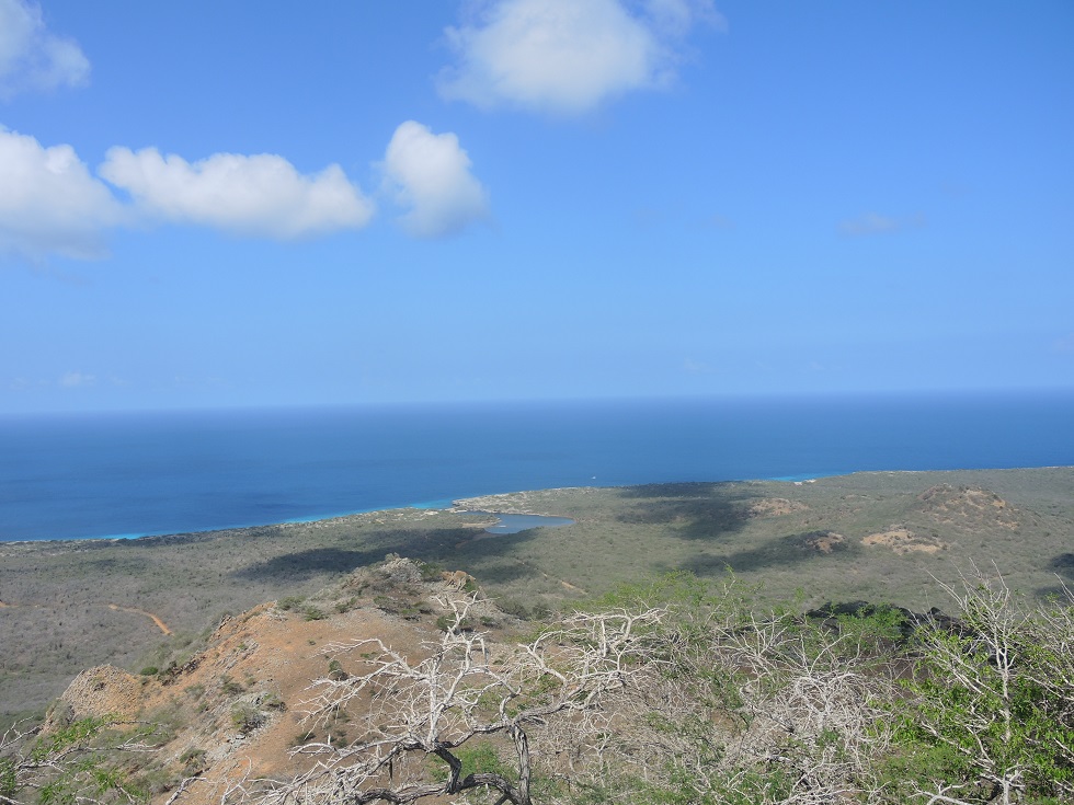 DSCN1005.JPG