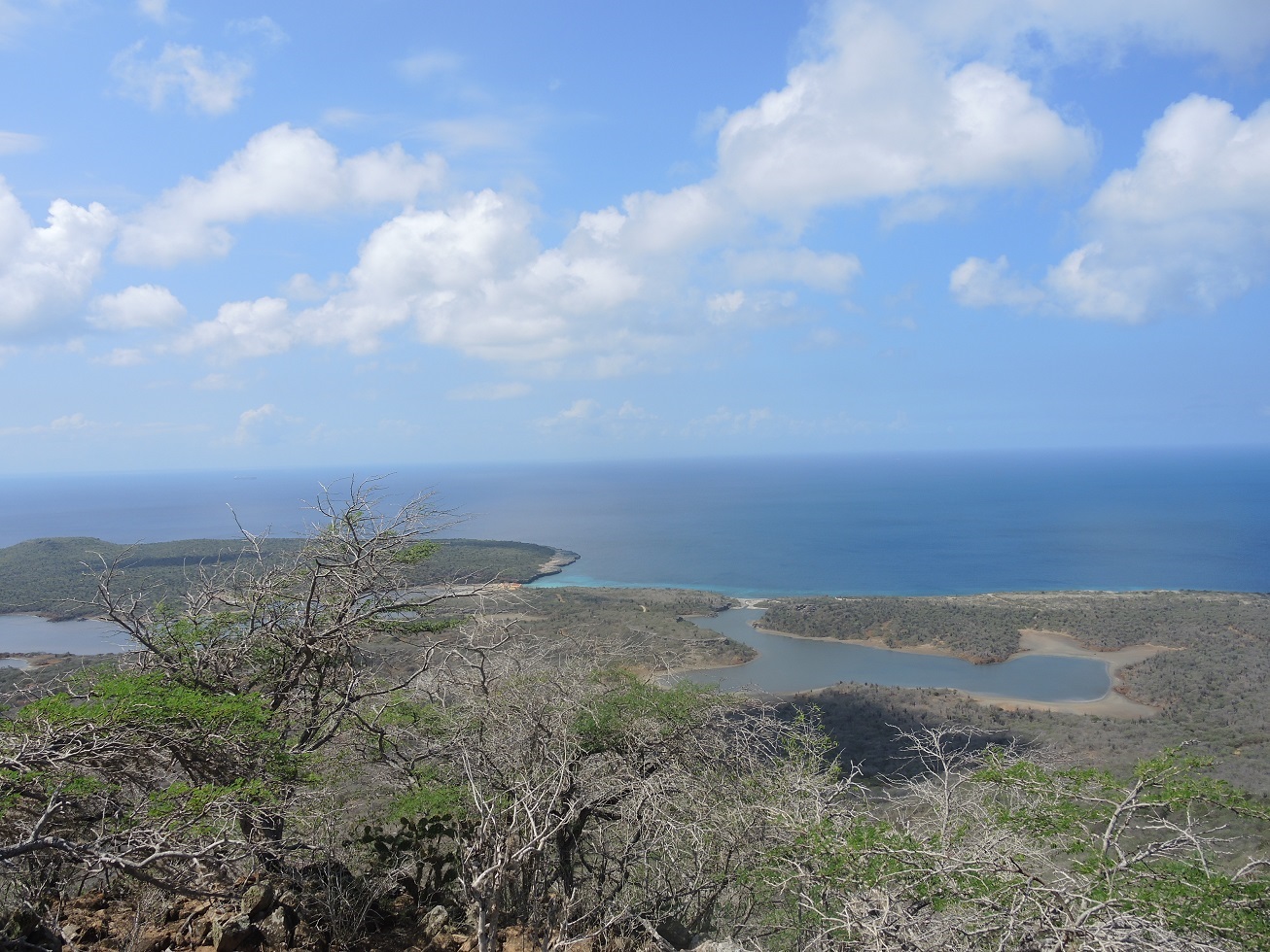 DSCN1006.JPG