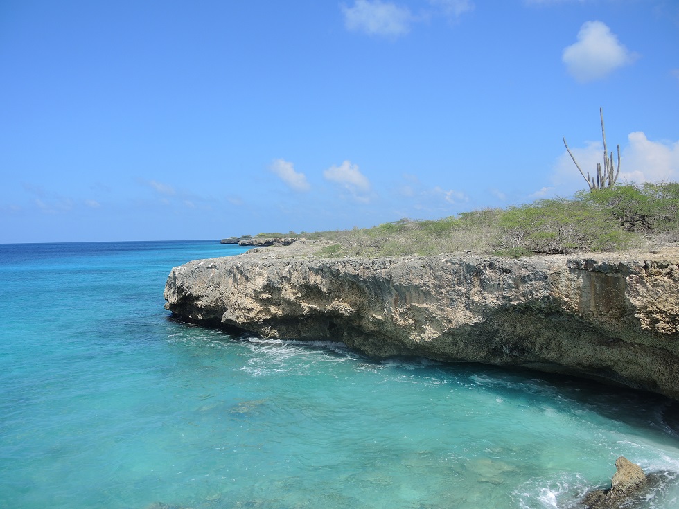 DSCN1017.JPG