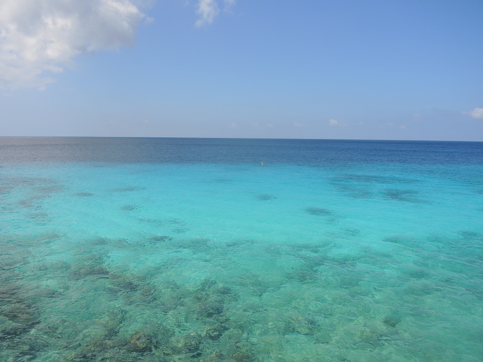 DSCN1018.JPG