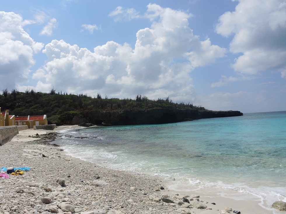 DSCN1035.JPG