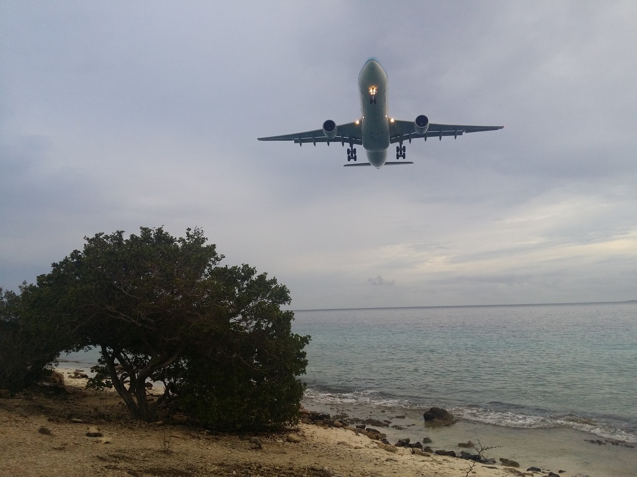 20151119_174658.jpg