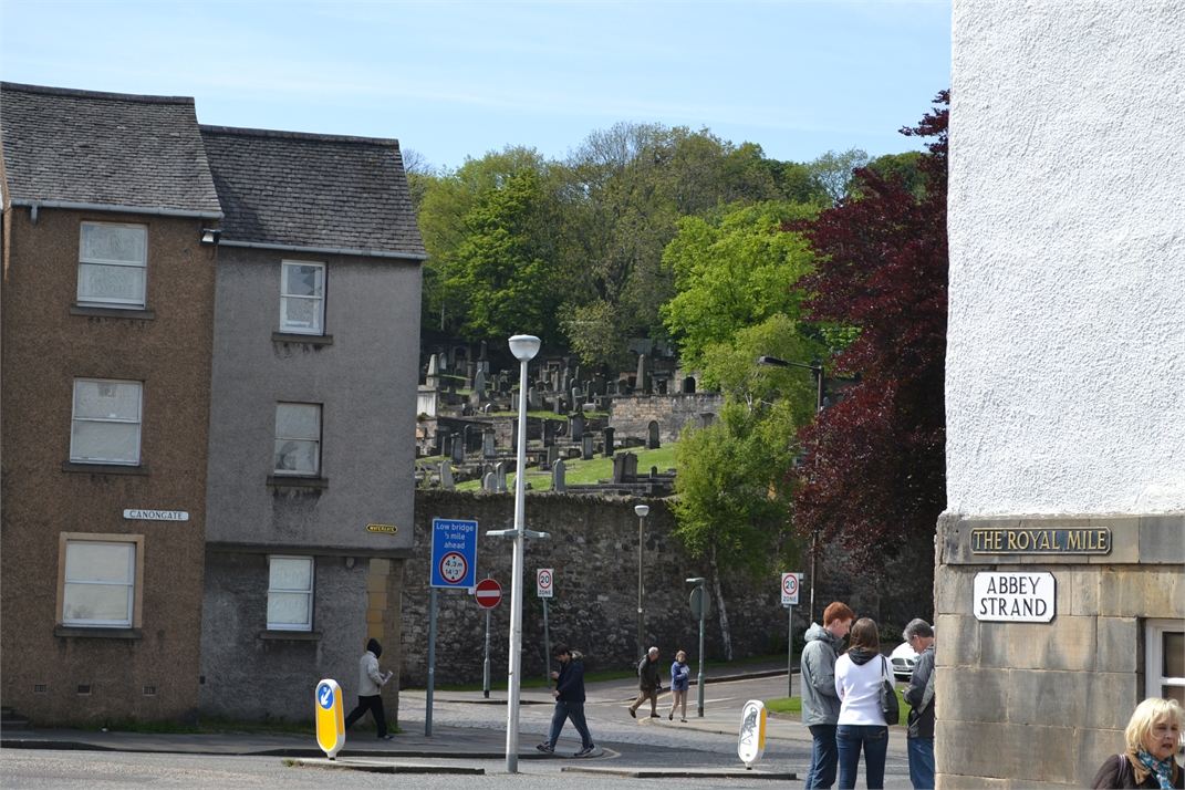 DSC_0221.jpg
