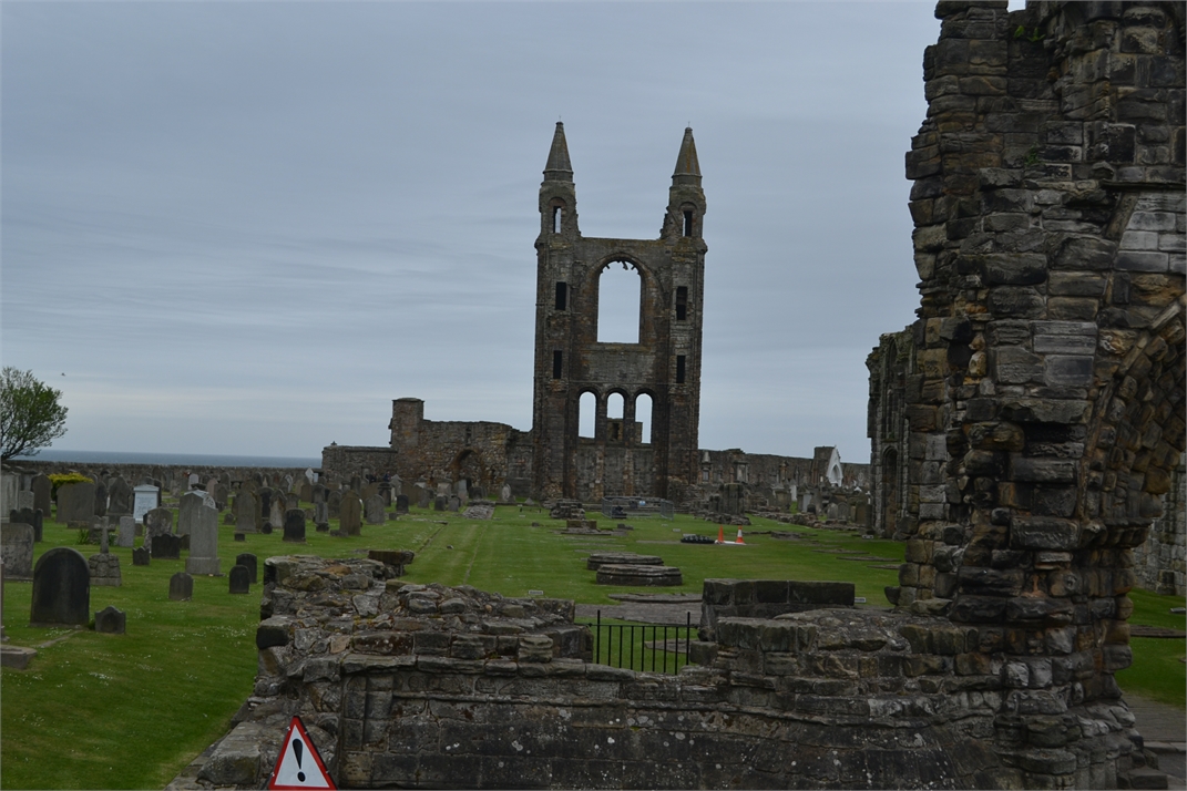 DSC_0440.jpg