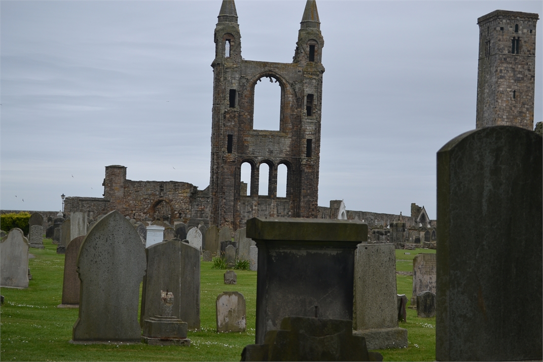 DSC_0448.jpg
