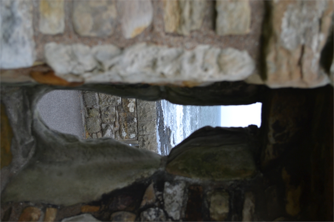 DSC_0465.jpg