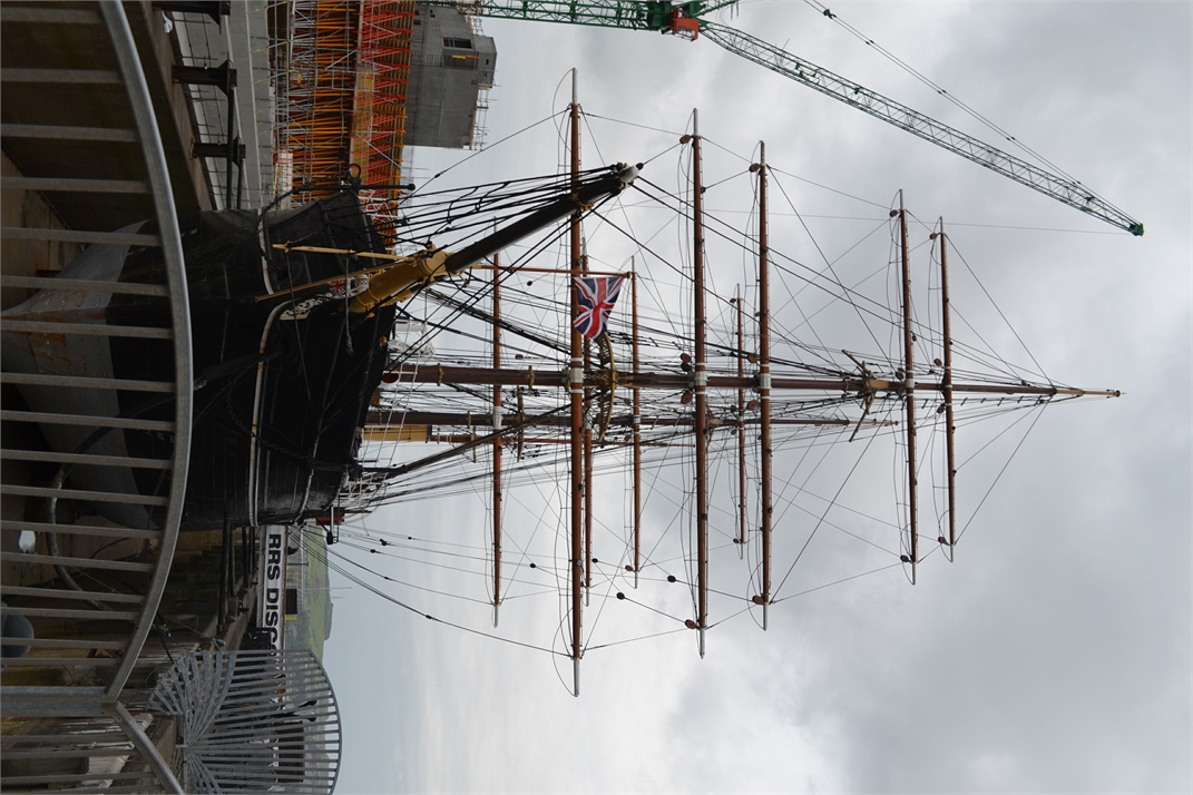 DSC_0481.jpg