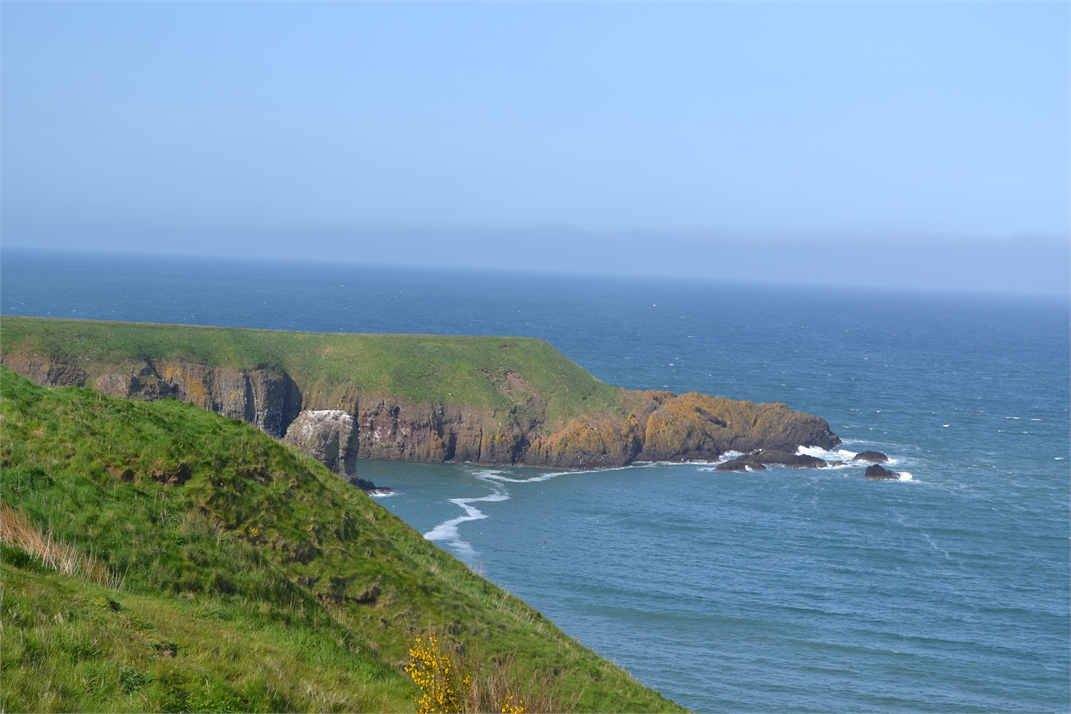 DSC_0488.jpg