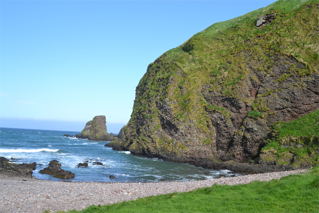 DSC_0522.jpg