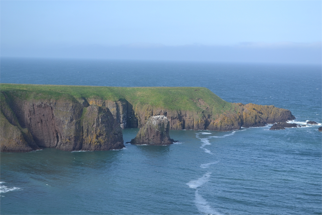 DSC_0567.jpg