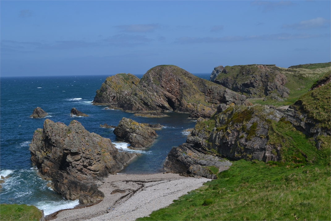 DSC_0683.jpg