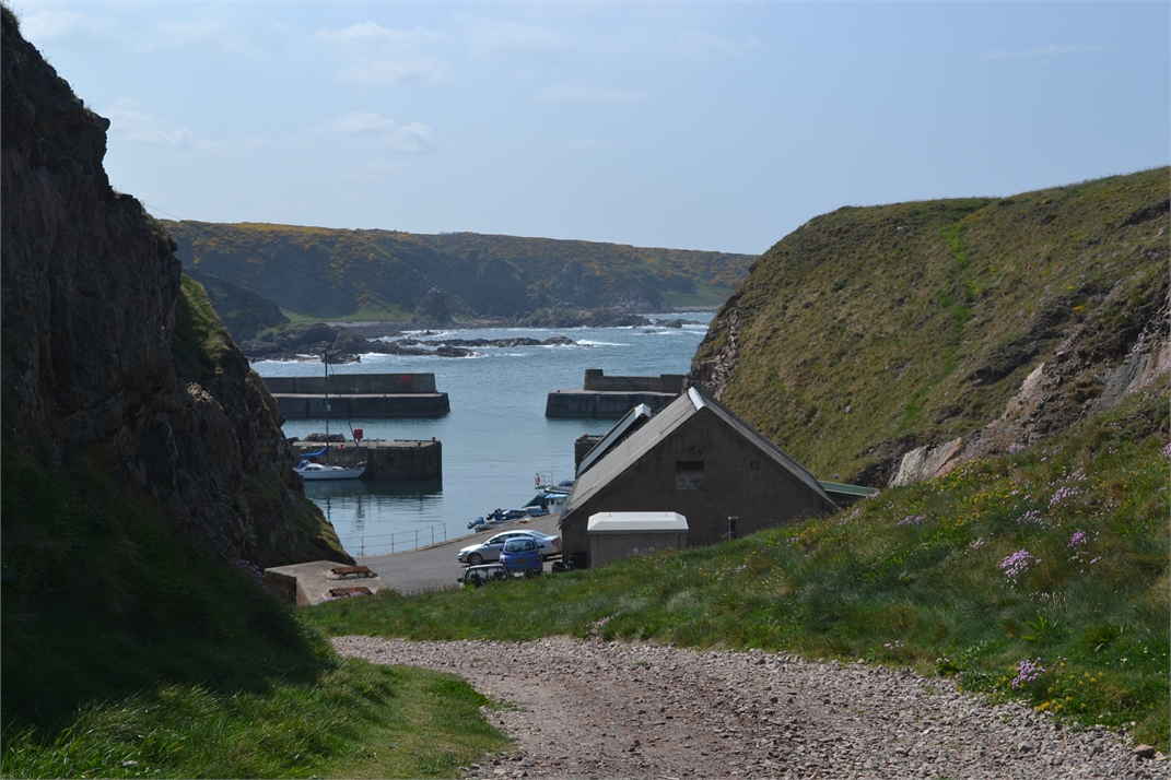 DSC_0684.jpg