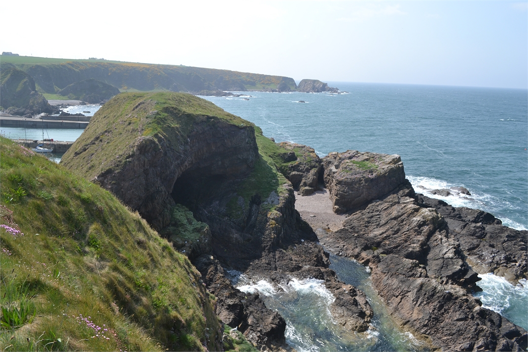 DSC_0725.jpg