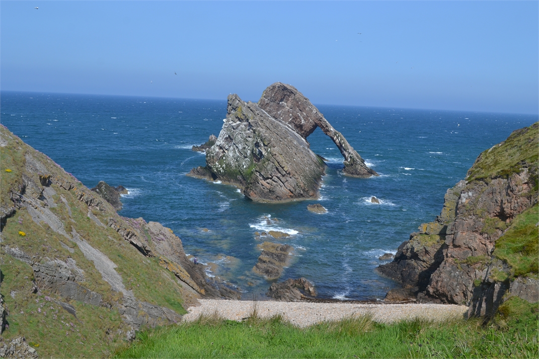 DSC_0771.jpg