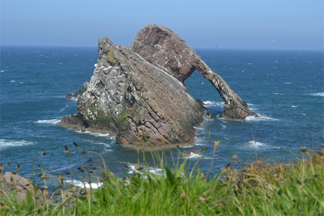 DSC_0780.jpg