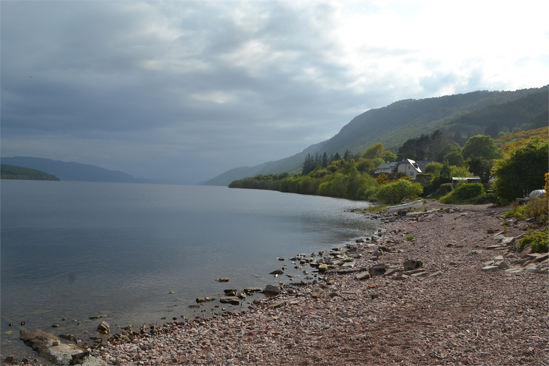 DSC_0783.jpg